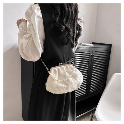 2024 NEW RETRO FAIRY SOLID COLOR small bag white hand hand bag perl bag net yarn of women in simple crossbody bag. باگ کوچک رنگي و رنگي و رنگي و رنگي و رنگي و رنگي و رنگي