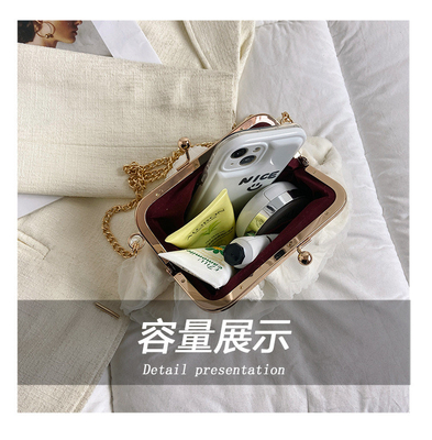 2024 NEW RETRO FAIRY SOLID COLOR small bag white hand hand bag perl bag net yarn of women in simple crossbody bag. باگ کوچک رنگي و رنگي و رنگي و رنگي و رنگي و رنگي و رنگي