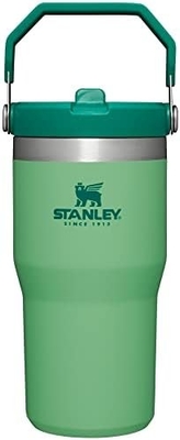 یخ فلو فولاد ضد زنگ با کاه، بطری آب عایق خلاء برای خانه، دفتر یا ماشین، فنجان قابل استفاده مجدد